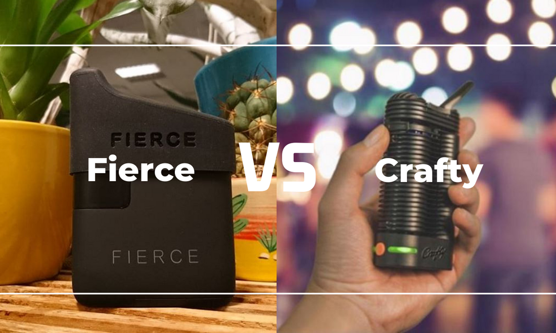 Fierce Vs Crafty