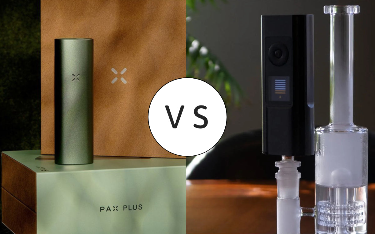Arizer Solo 3 vs PAX Plus - The Winner is? Herbalize Store EU Arizer Solo 3 vs PAX Plus - The Winner is? Herbalize Store EU