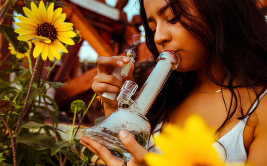 Top 10 Bongs 2022 in UK