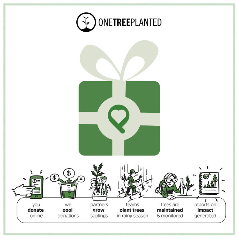 Donation to One Tree Planted