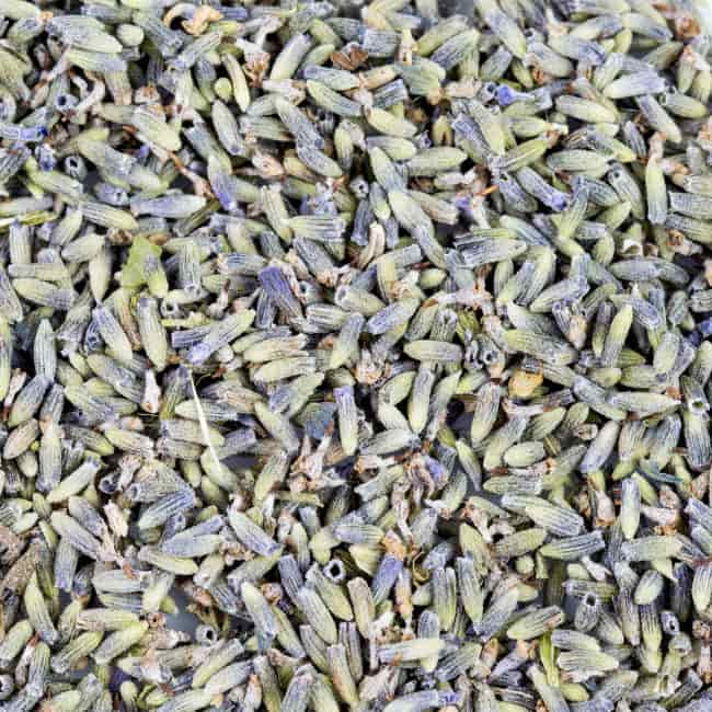 Organic Lavender